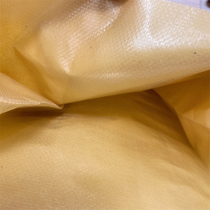 Kraft Paper Plastic Polypropylene Woven Composite Bags with liner