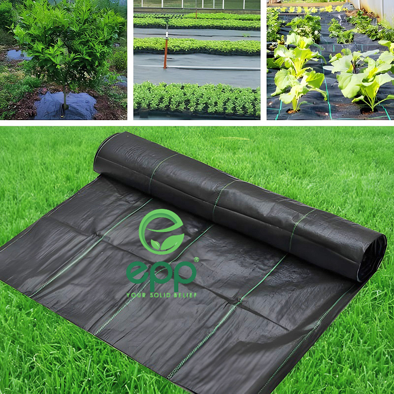 How to use Weed Barrier Cloth to optimize efficiency