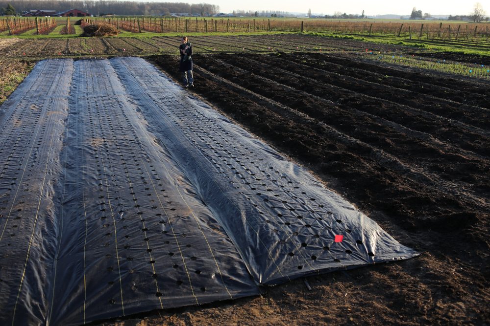 woven-weed-mat-ground-cover-application-for-garden.jpg