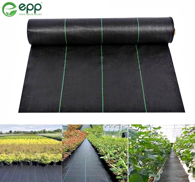 3m-Agricultural-Weed-Control-Fabric-3(1).jpg