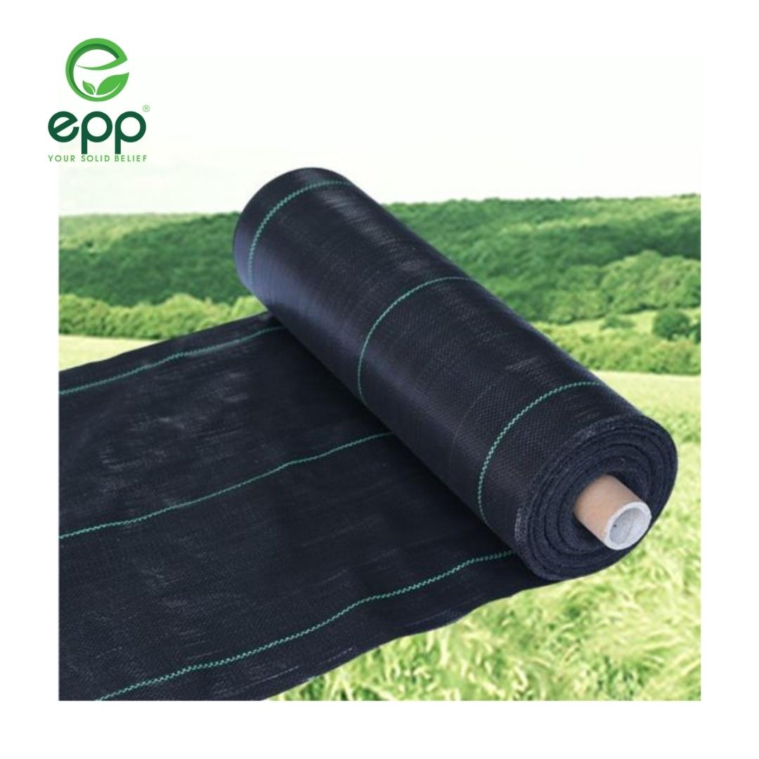 Discover the use of agricultural Ground Cover/Weed Mat
