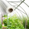 overwintering film greenhouse films