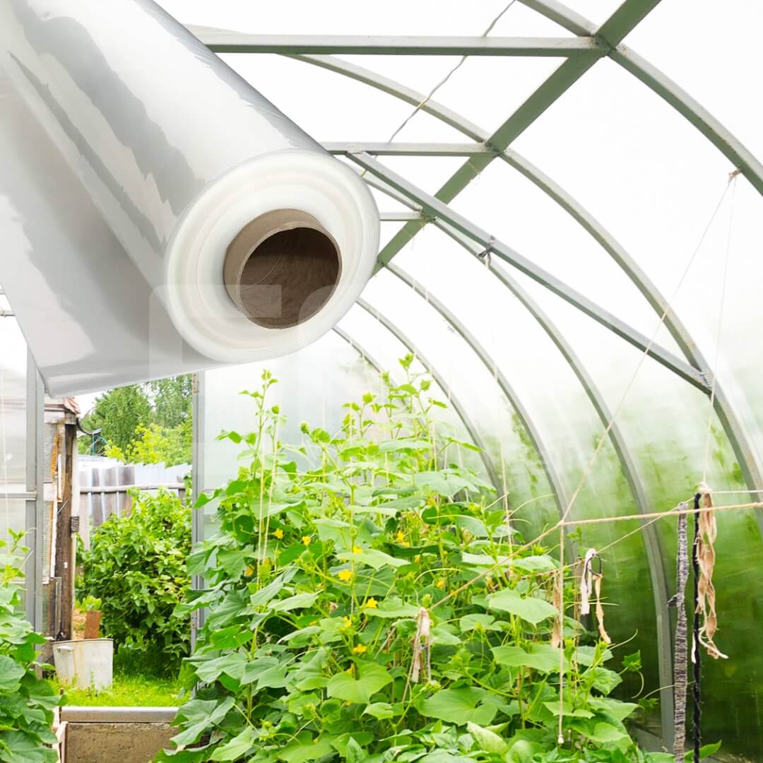 overwintering film greenhouse films