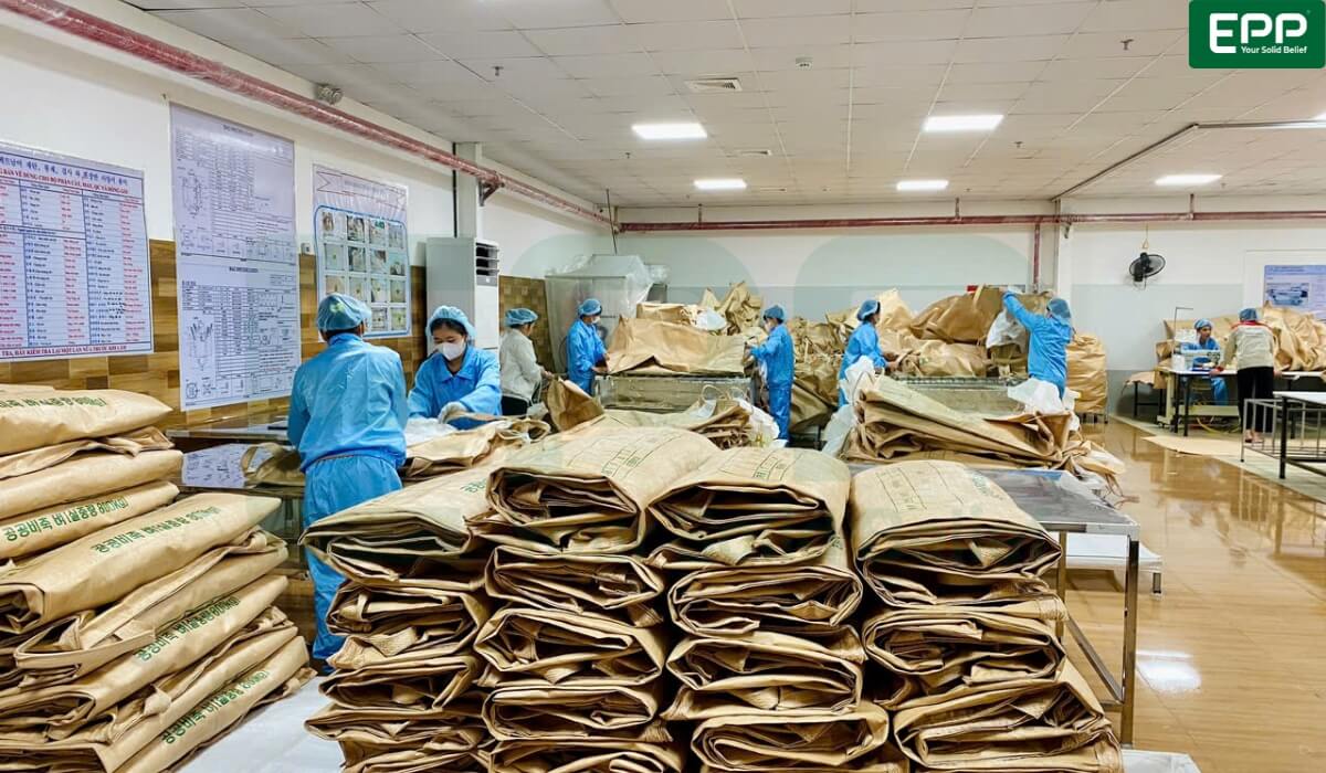 Cleanroom manufacturing and inspection floor at EPP Vietnam adhering to BRCGS Grade A food-safety standards.