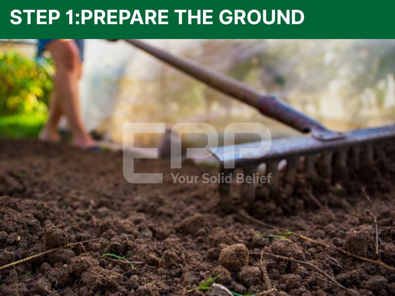Step 1: Prepare the Ground