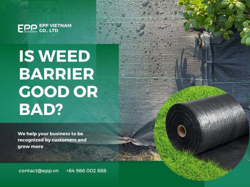 Is Weed Barrier Good or Bad?
