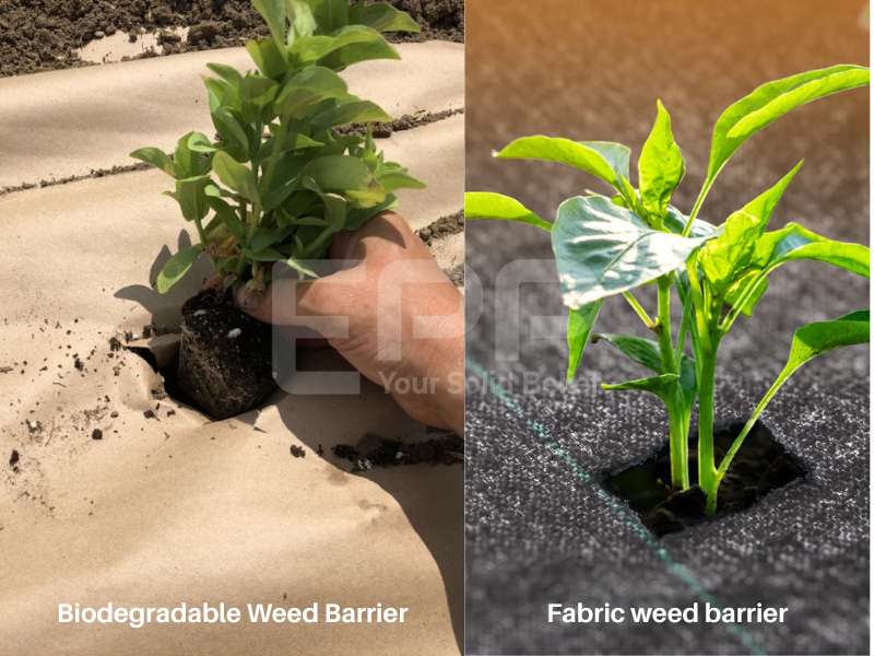 Biodegradable Weed Barrier
Fabric weed barrier