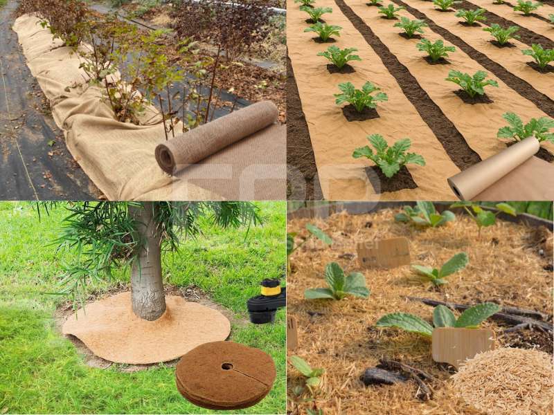 Biodegradable Weed Barrier