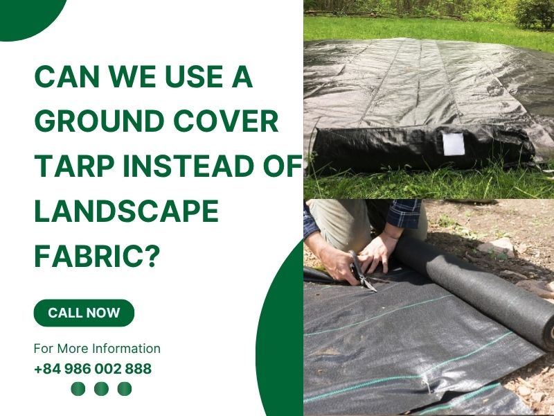Can We Use a Ground Cover Tarp Instead of Landscape Fabric?