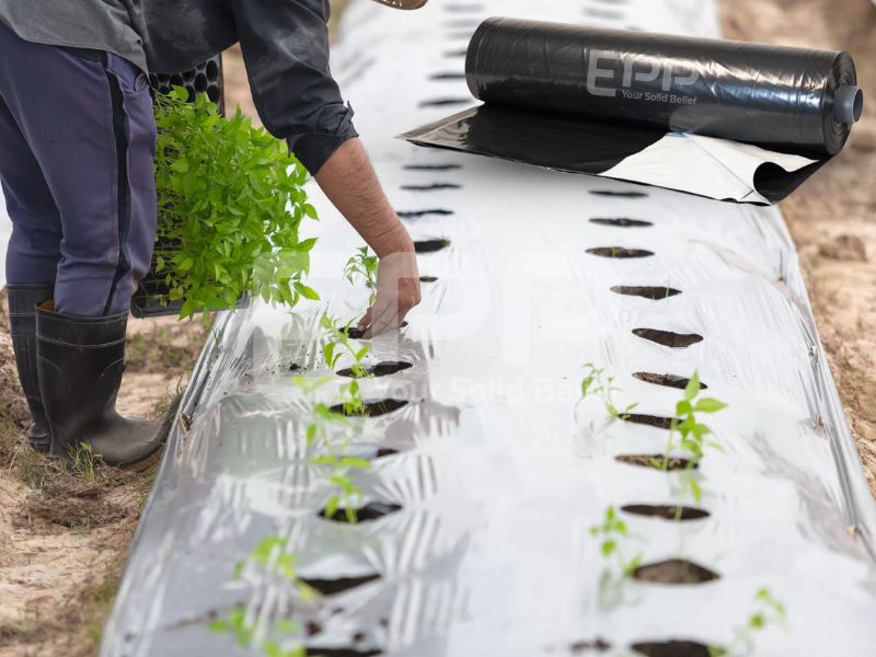 plastic weed barrier