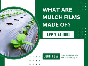 What Are Mulch Films Made Of?
