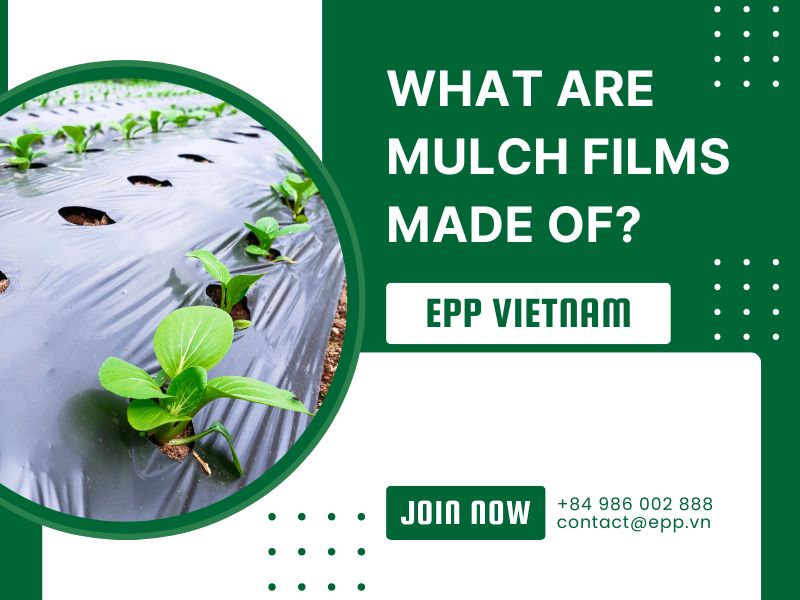 What Are Mulch Films Made Of?