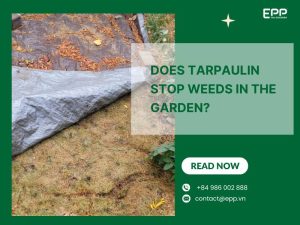 Does Tarpaulin Stop Weeds in the Garden?