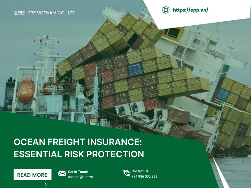Ocean Freight Insurance: Essential Risk Protection