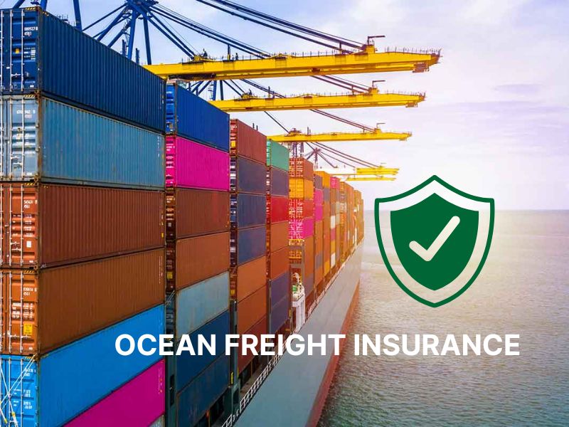 Ocean Freight Insurance