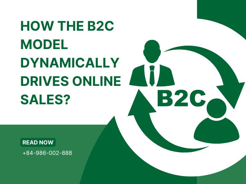 How the B2C Model Dynamically Drives Online Sales?