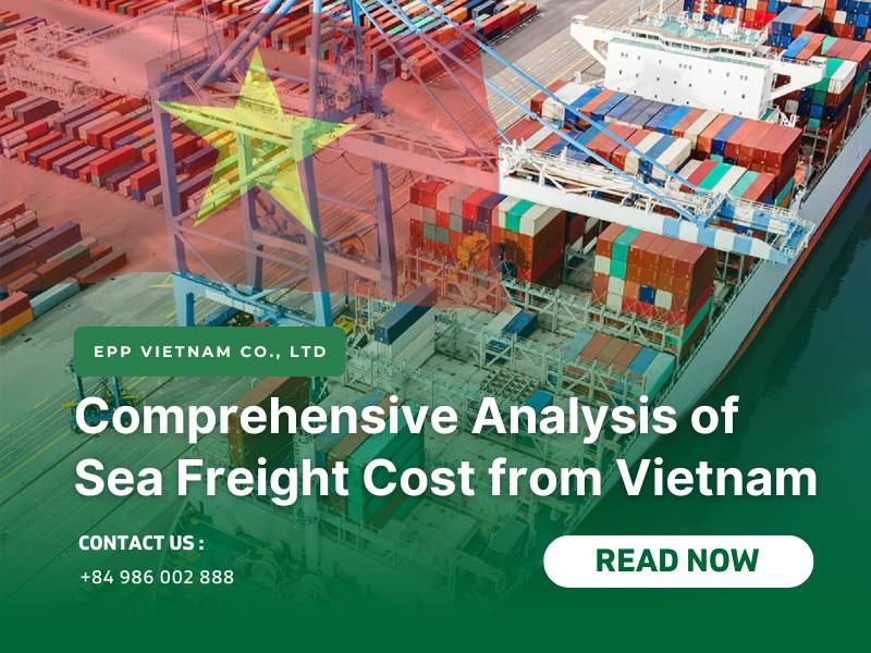 Comprehensive Analysis of Sea Freight Cost from Vietnam