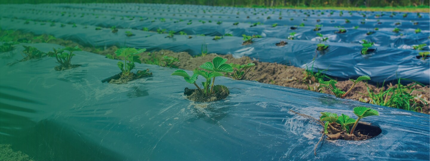 what are mulch films made of